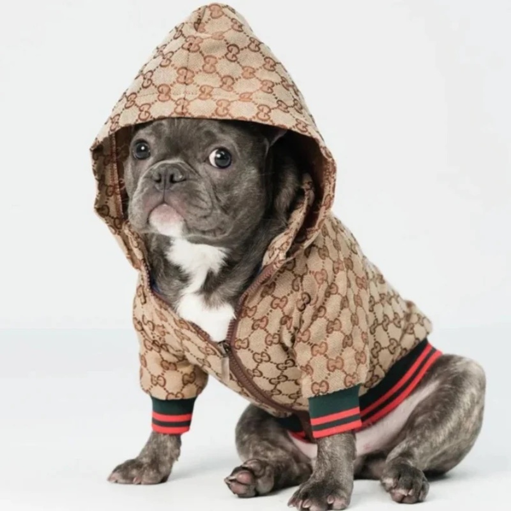 Gucci DOG Tan and Green Logo Hoodie